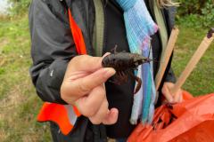 9b295c12-f7b0-4d39-964e-217666d7ee2c