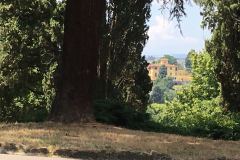 PHOTO-2018-07-06-12-47-53